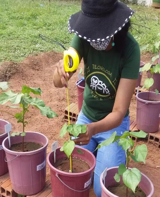 Foto: Reprodução/Secom Ceará