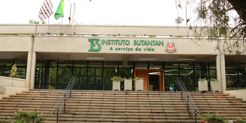 © Rovena Rosa/Agência Brasil