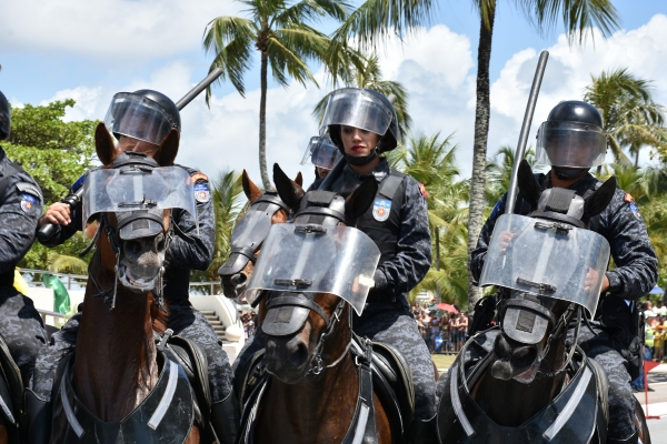  Mais de 80 cavalos fazem o policiamento ostensivo e em grandes eventos. Foto 2: Canil do Corpo de Bombeiros foi fundado em 2015. Foto 3: Cães atuam na busca de drogas, explosivos e pessoas desaparecidas.)Foto: Ascom SSP