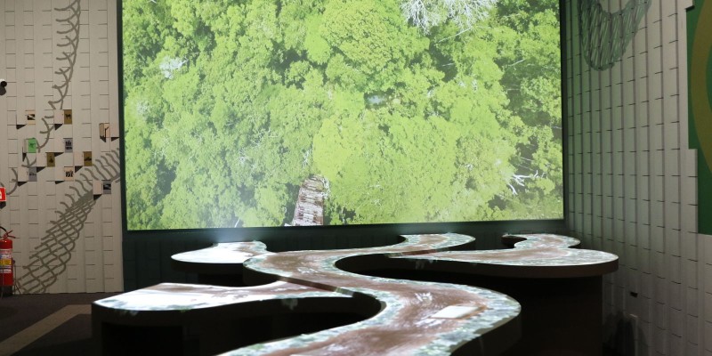 © Tomaz Silva/Agência Brasil