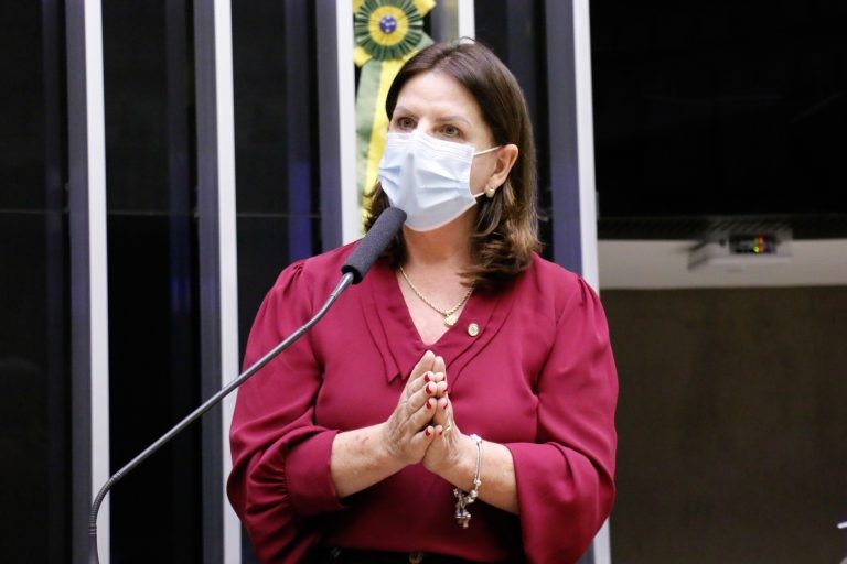 Carmen Zanotto: mulher sacrifica carreira para cuidar de pessoas em situação de dependência - (Foto: Marina Ramos/Câmara dos Deputados)