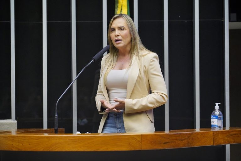 A autora do projeto, deputada Celina Leão - (Foto: Pablo Valadares/Câmara dos Deputados)