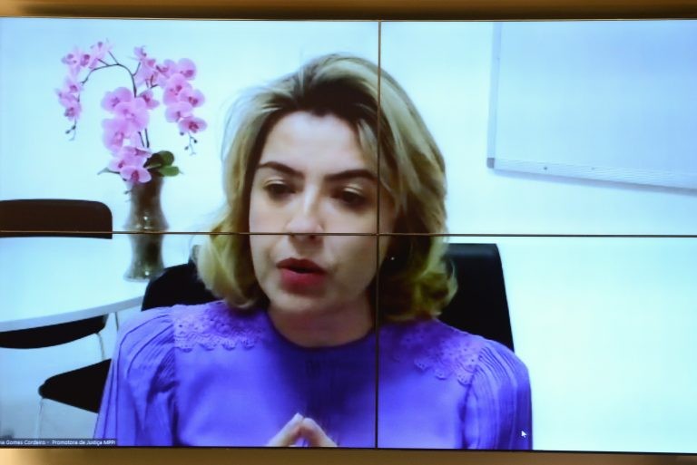 Flávia Cordeiro defendeu mudanças no Código Civil - (Foto: Billy Boss/Câmara dos Deputados)