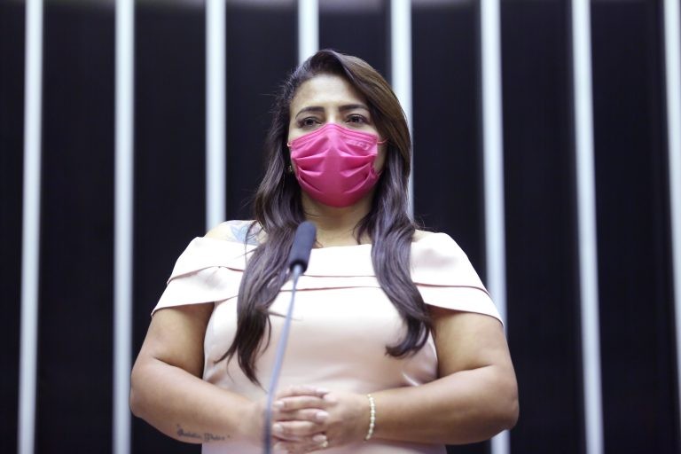 Ely Santos: comissão da Câmara detectou a necessidade de mais ILPIs gratuitas - (Foto: Antônio Augusto/Câmara dos Deputados)