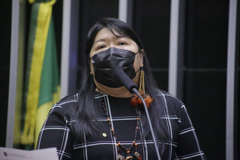 Joenia Wapichana: Brasil ainda não proporciona existência digna e respeitosa aos índios - (Foto: Paulo Sergio/Câmara dos Deputados)