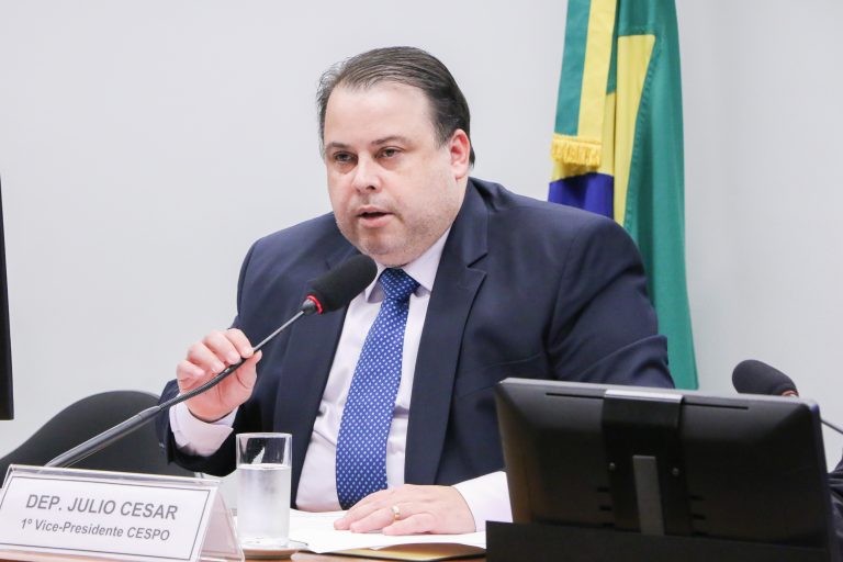 Julio Cesar Ribeiro: poder público deve auxiliar as famílias - (Foto: Wesley Amaral/Câmara dos Deputados)
