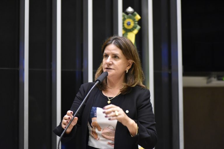 Carmen Zanotto leu parecer sobre o projeto em Plenário - (Foto: Zeca Ribeiro/Câmara dos Deputados)