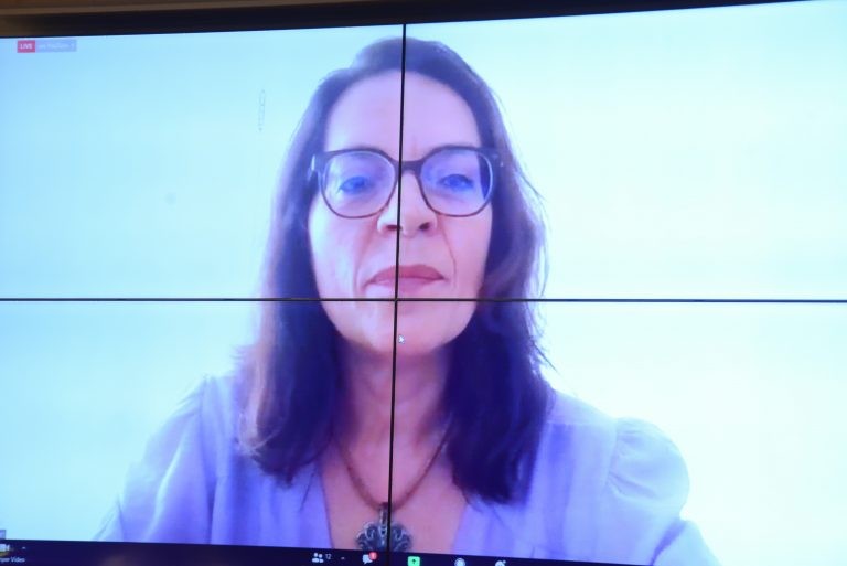 Teresa Sacchet: anistia é desestímulo à participação feminina na política - (Foto: Billy Boss/Câmara dos Deputados)