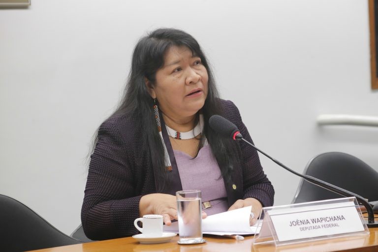 Joenia defende cotas do fundo eleitoral específica para mulheres indígenas - (Foto: Paulo Sérgio/Câmara dos Deputados)